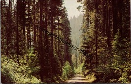 Pacific Northwest Washington and Oregon Postcard PC348 - £3.92 GBP