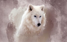 Wall DecoratiAbstract Wolf Painting Picture Printed Canvas Giclee - £6.84 GBP+