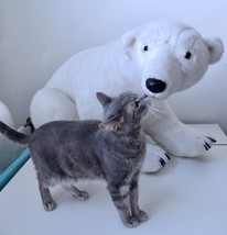 Melissa &amp; Doug Gentle Giant Baby Polar Bear Life Size Furry Stuffed Anim... - $124.99
