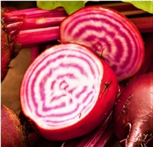 Chioggia Beet Seeds 100 Seeds Nongmo 4 Get - £6.61 GBP