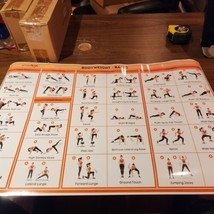 NEW Laminated Basic Body  Poster with Colored Illustrations 18 X 27 Gym ... - $9.70