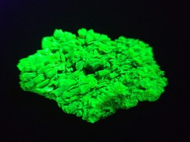 25 Gram Autunite /  Meta-autunite Crystal, Fluorescent Uranium Ore - $485.00