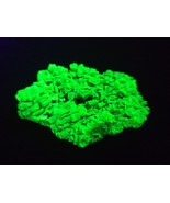 25 Gram Autunite /  Meta-autunite Crystal, Fluorescent Uranium Ore - €421,29 EUR