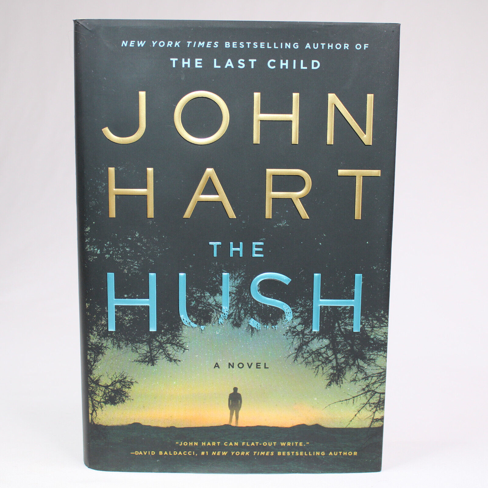 SIGNED THE HUSH By John Hart 1st Edition 2018 Hardcover Book With Dust J... - $33.61