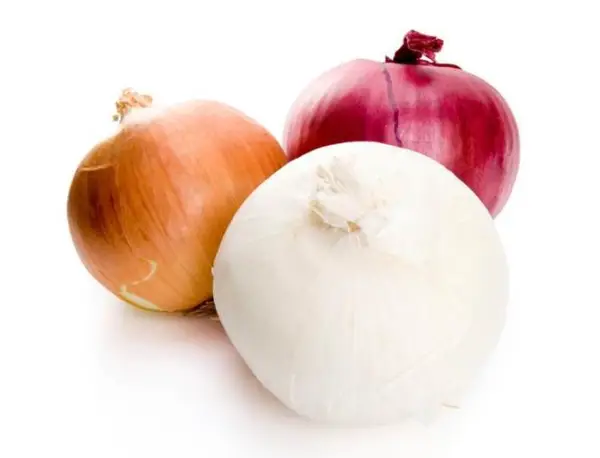 Onion Assortmentseeds 300 Seeds Sweetest Healthful - $8.78