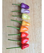25 Seeds Numex Twilight Pepper Vegetables Garden - £7.72 GBP