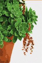 Pepita Needlepoint kit: Succulent Plant, 9&quot; x 14&quot; - £67.67 GBP+