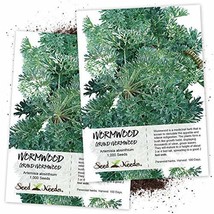 Seed Needs, Wormwood Herb (Artemisia Absinthium) Twin Pack of 500 Seeds ... - £7.00 GBP