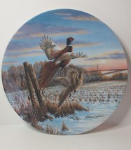 Ring-Neck &amp; Pheasant Decorative plate - Morning Light - by Wilhelm J. Go... - $12.09