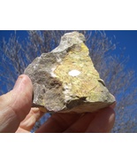 CARNOTITE  URANIUM ROCK  16.8 OZ.   55k, URAVAN, COLO. $42.00 + $12.80 S/H - $42.00