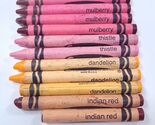 Vintage Crayola Crayons retired Indian red Dandelion Thistle Mulberry US... - $25.00
