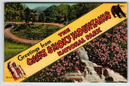 Great Smokey Mountains Tennessee Postcard Linen Unposted Vintage Brown Bear - £7.37 GBP