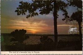 The End of a Beautiful Day in Florida Postcard PC398 - £3.98 GBP