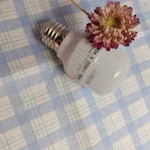 LuckyLume Lamp Bulbs – Light Up Your Space image 3