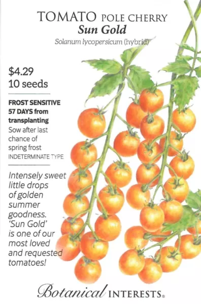 Tomato Sun Gold Vegetable Seeds - Botanical Interests 12/24 Fresh Garden - £10.04 GBP