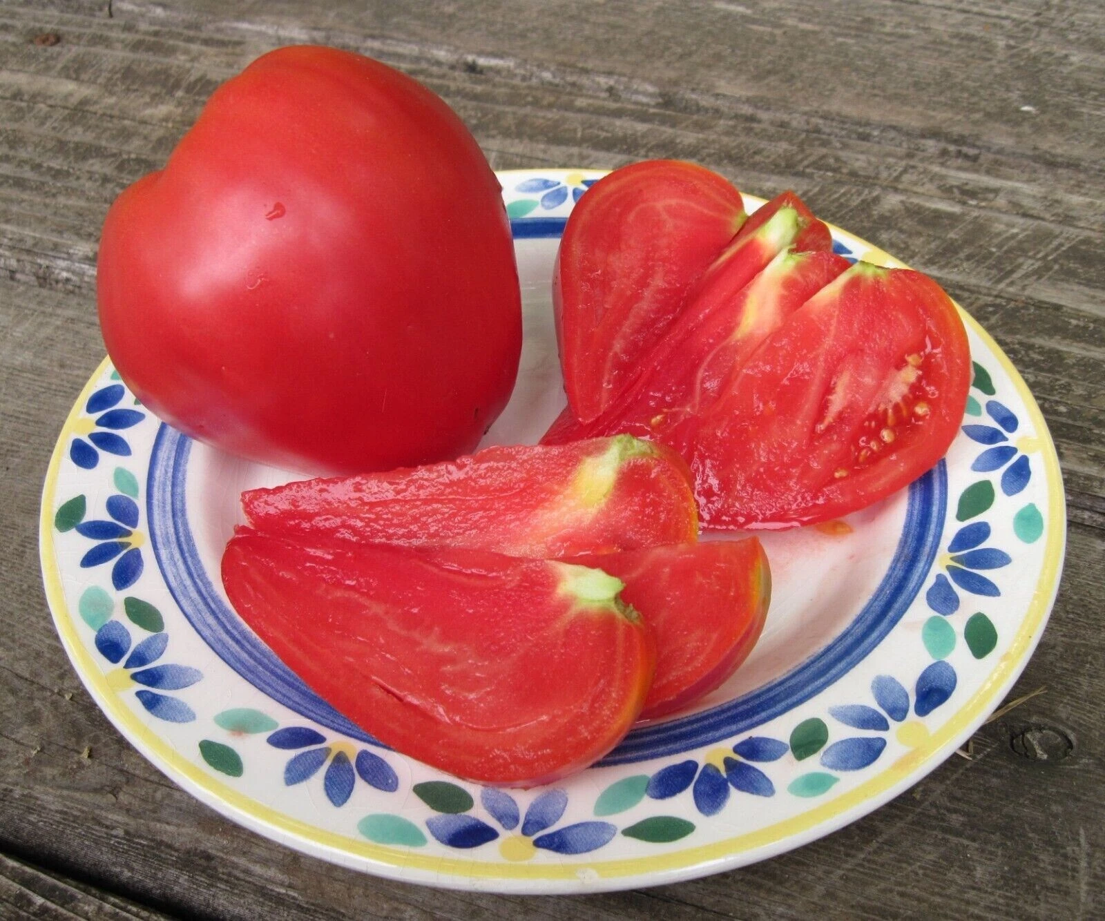 30+ Anna Russian Tomato Seeds - Heirloom - Organic - NON GMO ------ RARE - $8.19