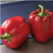 USA Seller Red Bull Sweet Peppers Seeds Fast Shipping - $12.80