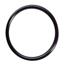 Pura UV (34202024) O-Ring for UVBB Outer Quartz - $10.96