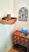 Wine Barrel Hanging Cat Bed - Birala - Made from retired California wine... - $199.00