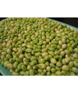 White Acre Pea Seeds 80 Seed Fresh - £8.61 GBP
