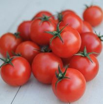 30 Fresh Seeds Tomato, Red Cherry Large, Organic, Non-GMO Heirloom - £8.02 GBP