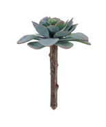 Succulent Plant Pick (Set of 12) - €62,41 EUR