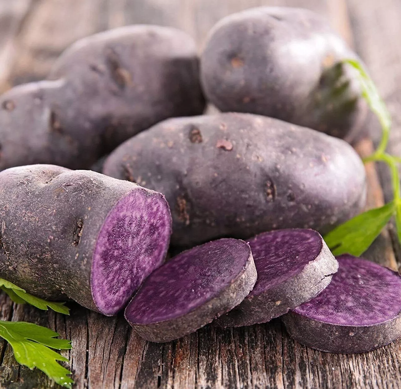 Blue Adirondack Seed Potatoes - USDA Certified for Planting Purple Potat... - $630.91 MXN