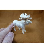 (moo-w54) small white Moose Elk bull standing shed ANTLER figurine Bali ... - $209.08 CAD