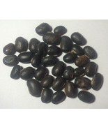 8 oz. Raw Mucuna Pruriens Seeds Velvet Bean Wildharvested India - £39.32 GBP