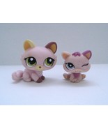Littlest Pet Shop Cat and Kitten Pink #1489 #1481 - $336.48 MXN