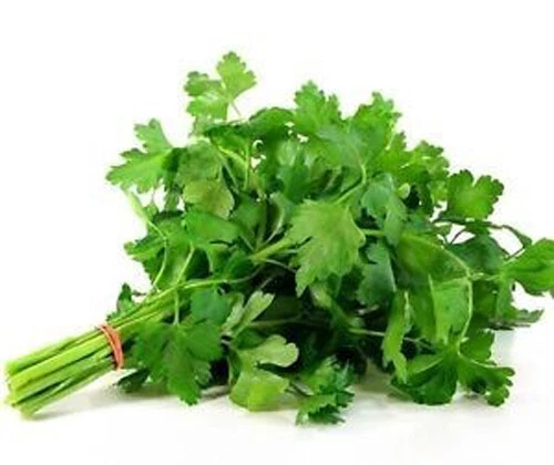 Giant 200  Italian Parsley Seeds Dark Green Flat Leaf Garden Fresh Herb - $3.14