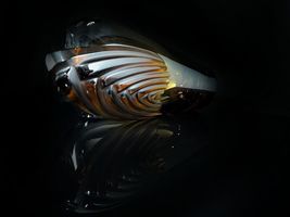 Item image 14