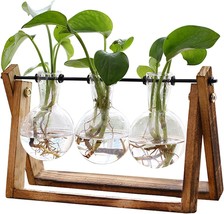 Plant Terrarium with Wooden Stand Air Planter Bulb Glass Vase Metal Swiv... - $44.32