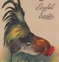 Colorful Rooster Looking in Grass Antique PFB Easter Postcard - $7.75