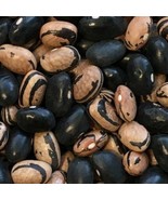 Peregion Dry Bush Oregon Seeds Grown To Organic Standards Multicolored Productiv - $12.84