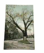 Washington Elm Color Postcard Cambridge MA Massachusetts Unposted Undivi... - $285.40 MXN