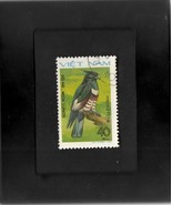Tchotchke Framed Stamp Art - Asian Wildlife - Black Baza - €6,87 EUR