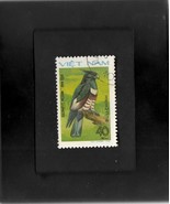 Tchotchke Framed Stamp Art - Asian Wildlife - Black Baza - £6.38 GBP