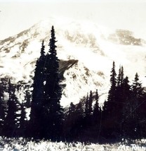 RPPC Mount Rainier 52 Ellis 1920s Washington Pacific NW PCBG6C - £23.50 GBP