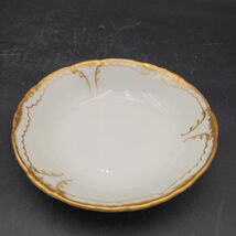 Antique c.1915 Theodore Haviland Schleiger 133 Fruit Dessert Bowl Multip... - $8.45