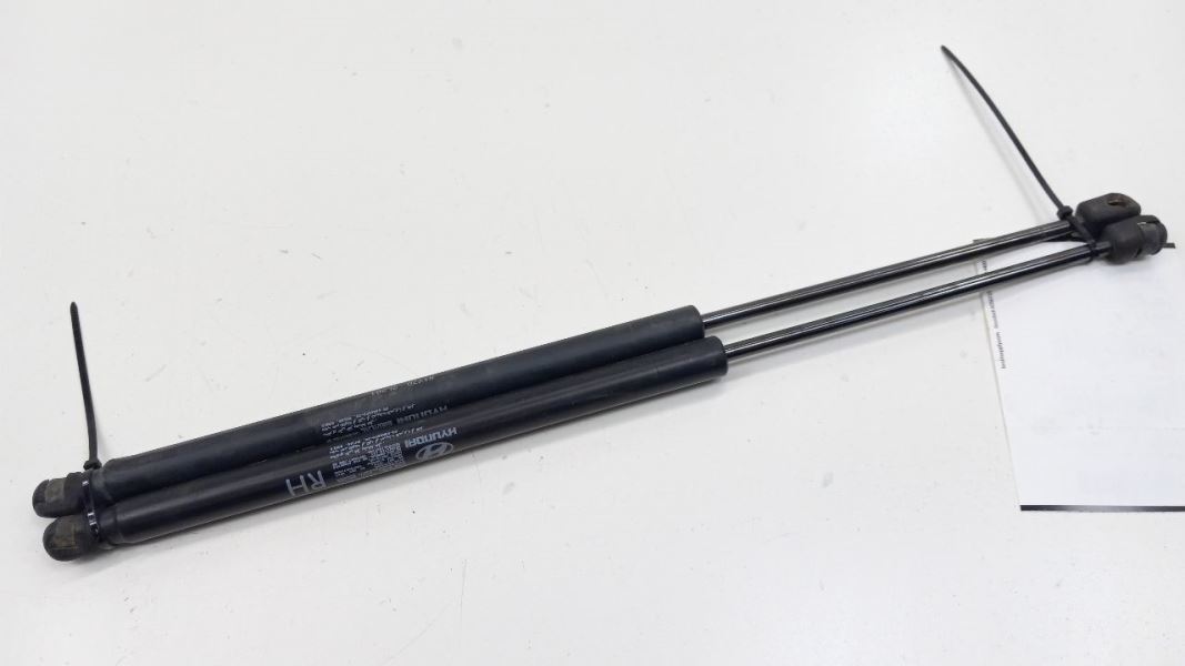Hyundai Elantra Hatchback Hatch Back Trunk Lid Shock Strut Support 2009 ... - $34.79