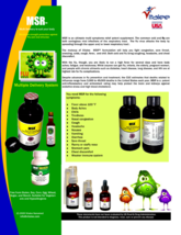 MSR-Economy Pack-Cold, Flu,Throat Infection Rapid Relief (3 Bottles 120 ml) image 6
