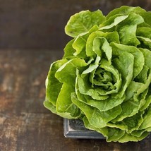 600 Butter Crunch Lettuce Seeds- Open Pollinated-Non Gmo-Organic Fresh Gardening - $6.00