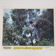 Escape To Witch Mountain 1975 Original Movie Lobby Card 14x11 Inch Tree Scene - £10.14 GBP