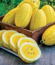 100 Of Watermelon Seeds Yellow Skin Yellow Inside - $11.37