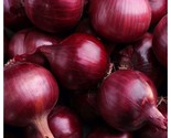 300  Red Grano Onion Seeds Short Day Non Gmo Heirloom Fresh Fast Shipping - £7.22 GBP