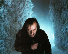 The Shining Jack Nicholson classic image in ice storm crazy eyes 16x20 Poster - £14.95 GBP