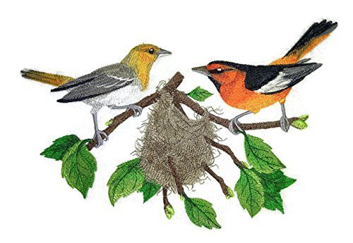 Nature Weaved in Threads, Amazing Birds Kingdom Bullock's Orioles and Nest] [Cus