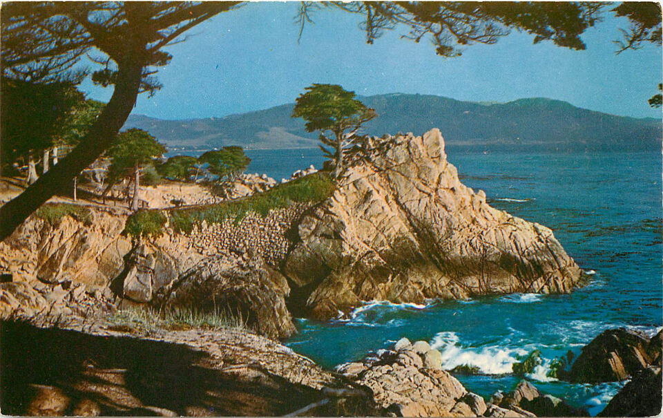 Chrome Postcard CA Midway Point Carmel Bay Monterey Cypress Trees Pacifc... - $3.47