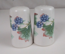 Vintage Julie Pople Country Fruit Collection Thimbleberry Salt &amp; Pepper ... - $14.54